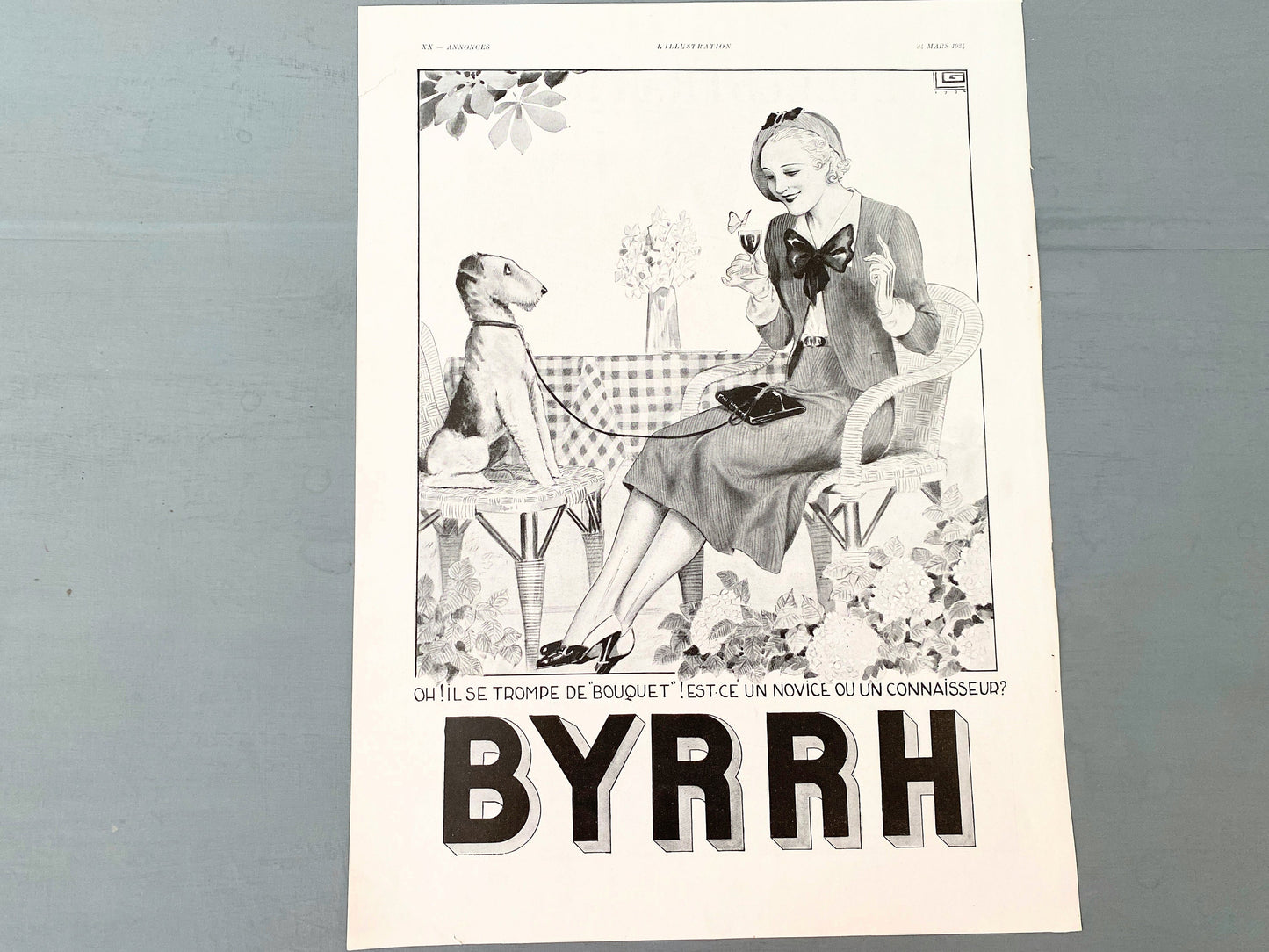 Authentic 1930s Vintage Byrrh Aperitif Funny Advertising Print with Terrier Dog