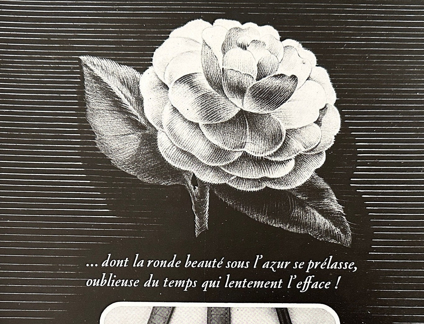 Vintage Jaeger Lecoultre Ad Print: Rare Swiss Watch Poster, Mid-Century Modern