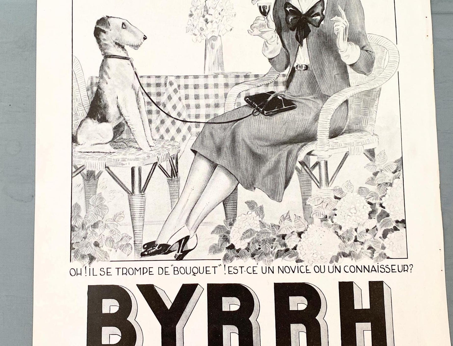 Authentic 1930s Vintage Byrrh Aperitif Funny Advertising Print with Terrier Dog