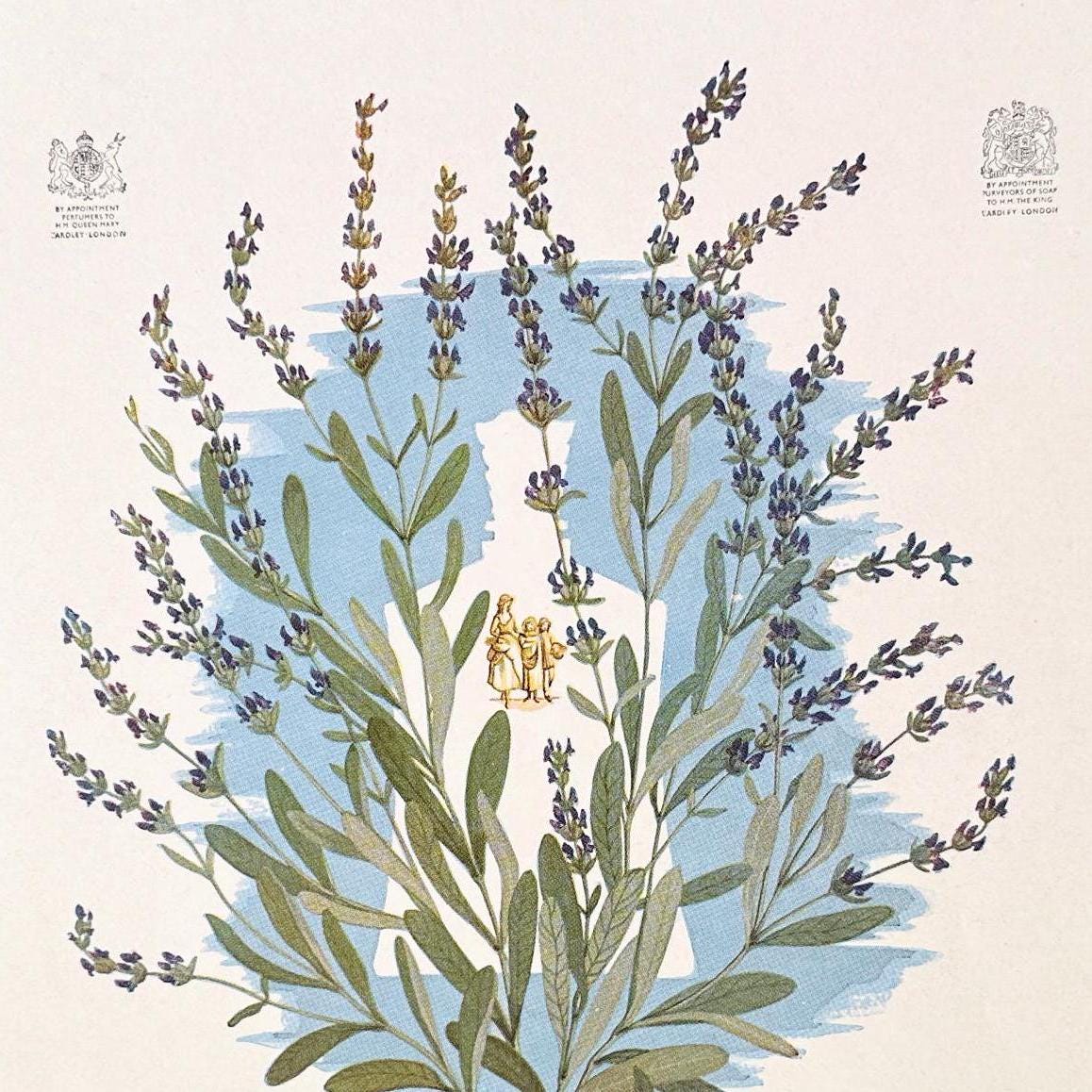 Vintage Lavande Yardley Perfume Ad - French Lithograph Print