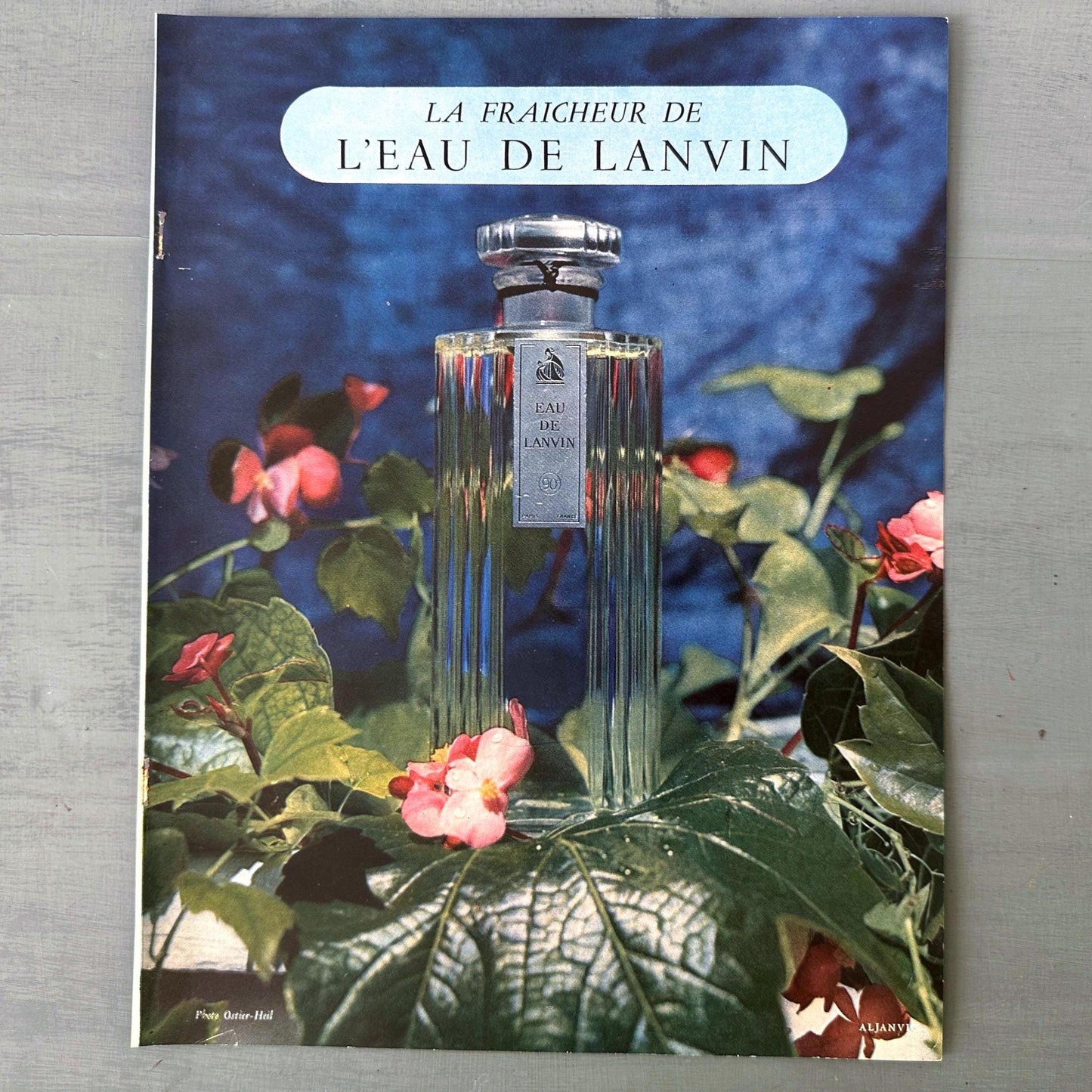 Authentic 1950s French Vintage Lanvin Perfume Bottle Advertisement Print