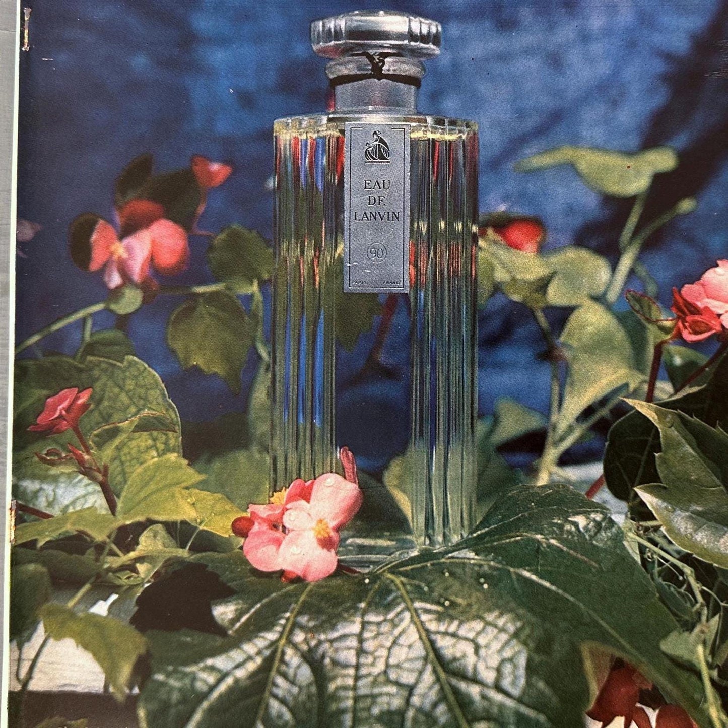 Authentic 1950s French Vintage Lanvin Perfume Bottle Advertisement Print