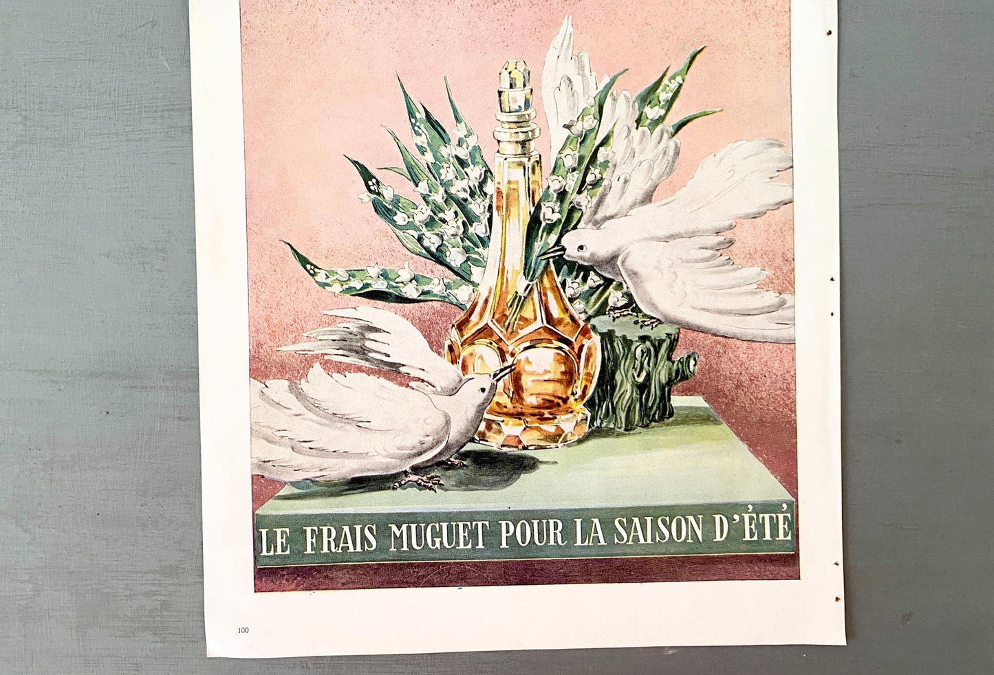 Authentic 1950s Vintage Caron Perfume Ad Wall Art Print, Retro Birds and Flowers Poster