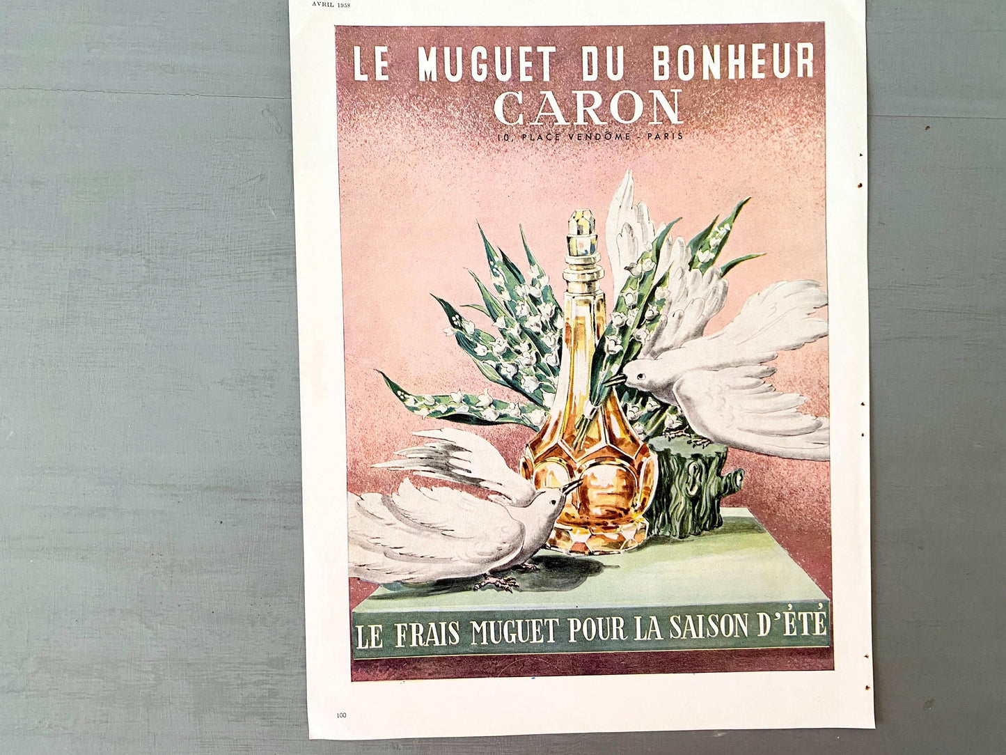 Authentic 1950s Vintage Caron Perfume Ad Wall Art Print, Retro Birds and Flowers Poster