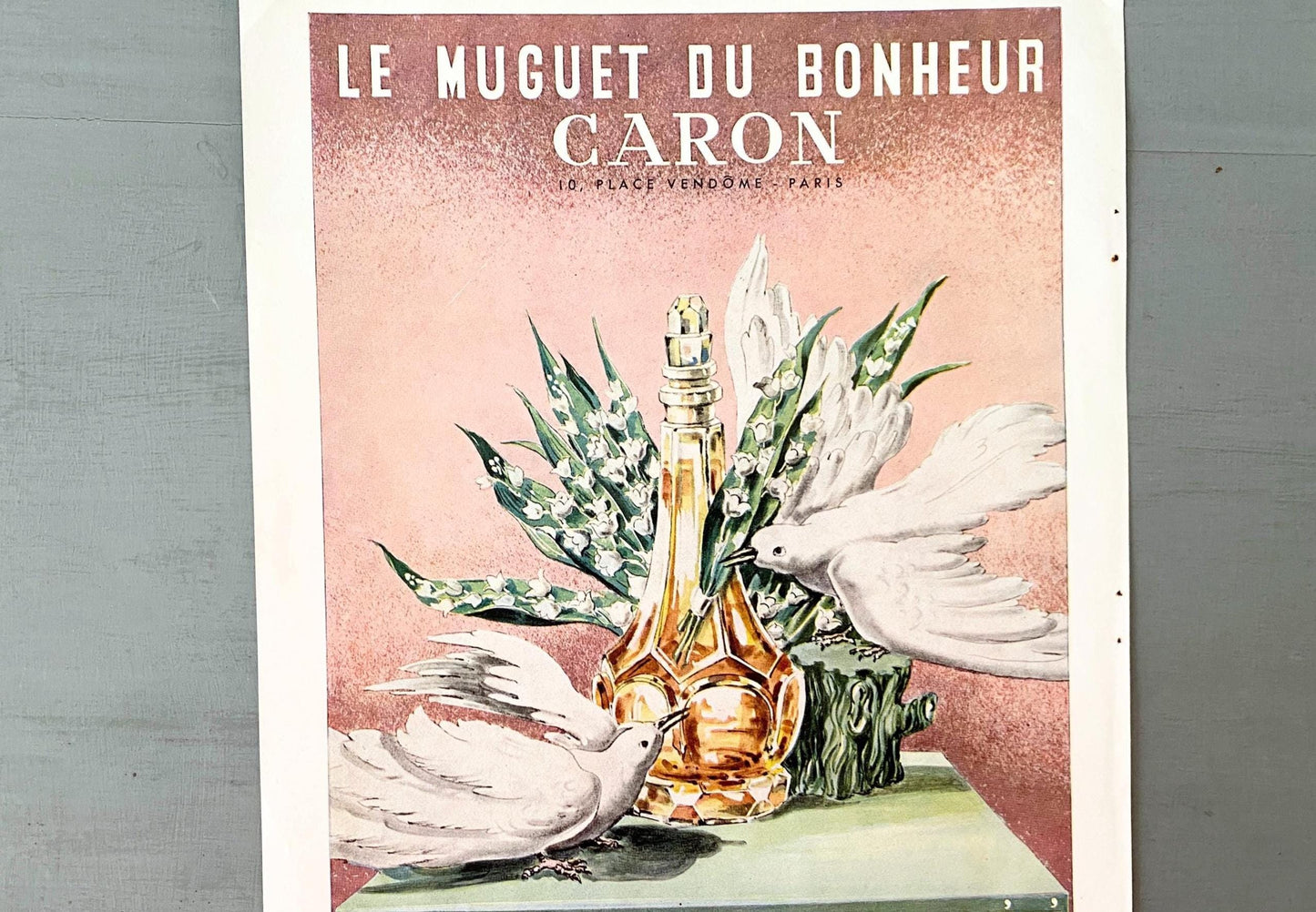Authentic 1950s Vintage Caron Perfume Ad Wall Art Print, Retro Birds and Flowers Poster